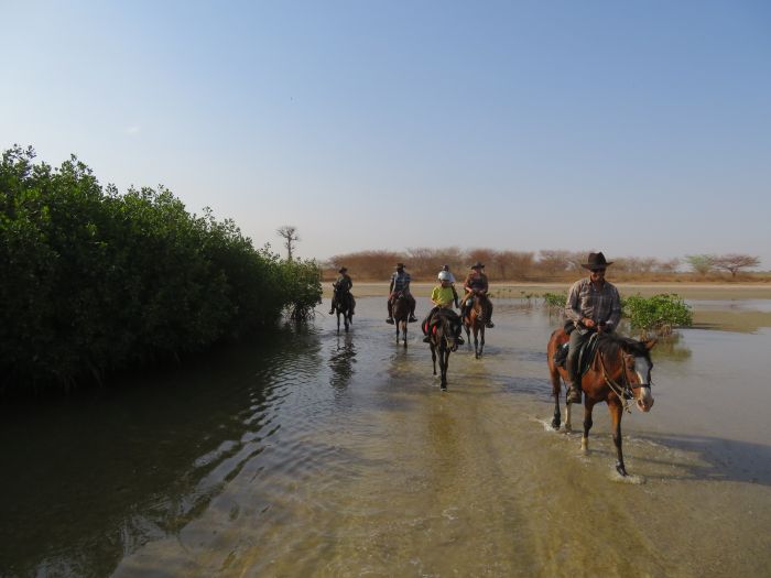 Senegal-Ritte und Reittour: Savanne & Strand