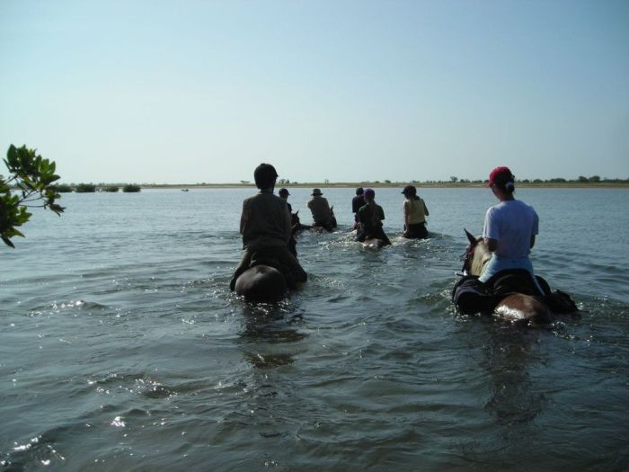 Senegal-Ritte und Reittour: Savanne & Strand