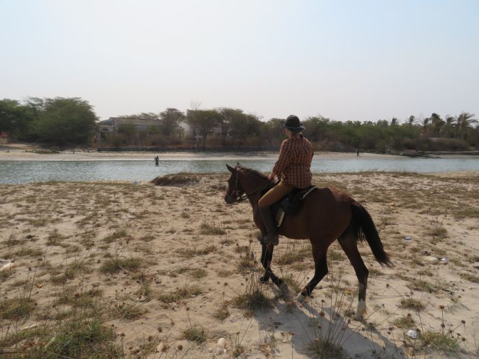 Senegal Ritt - Savanne & Strand