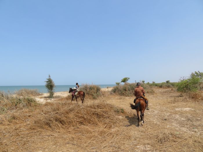 Senegal-Ritte und Reittour: Savanne & Strand