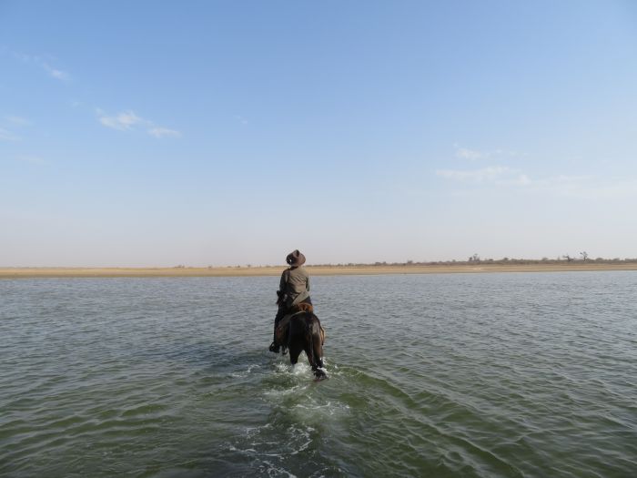 Senegal-Ritte und Reittour: Savanne & Strand