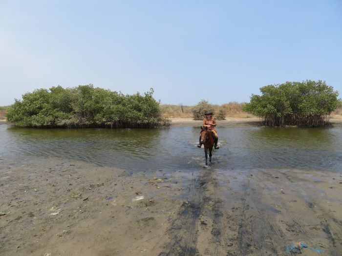 Senegal-Ritte und Reittour: Savanne & Strand