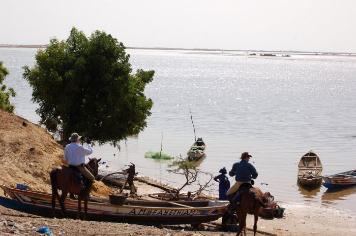 Senegal-Ritte und Reittour: Savanne & Strand