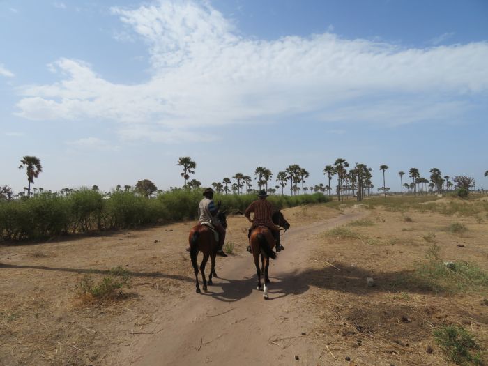 Senegal-Ritte und Reittour: Savanne & Strand