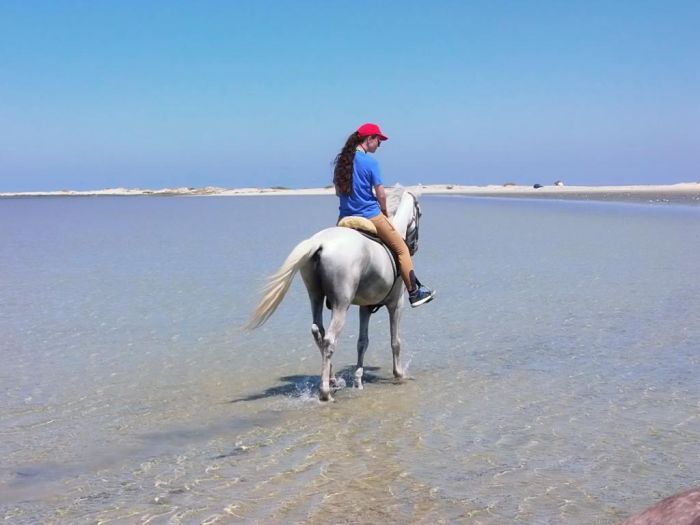 Sonneninsel Djerba