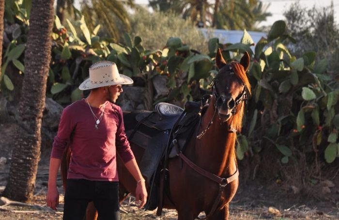 Sonneninsel Djerba