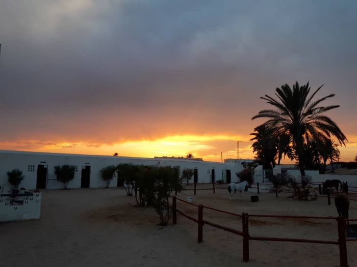 Sonneninsel Djerba