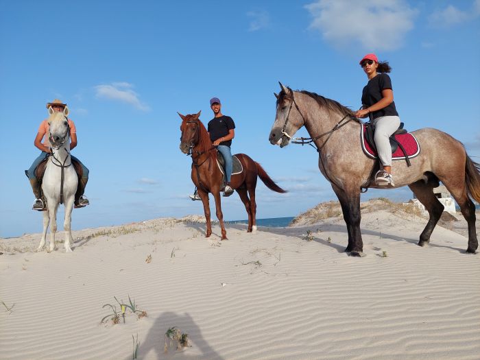 Sonneninsel Djerba