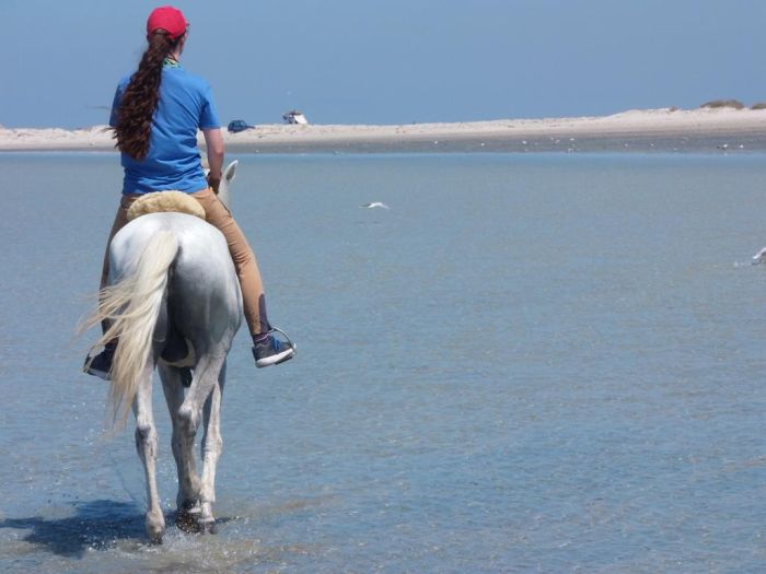 Sonneninsel Djerba