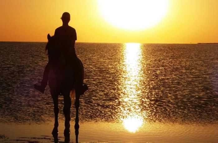 Sonneninsel Djerba