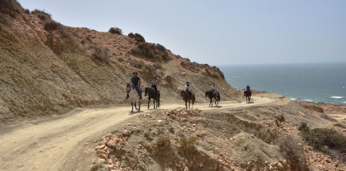 Essaouira Küsten Trail & Taghazoute Strand