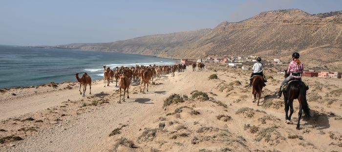 Essaouira Küsten Trail & Taghazoute Strand