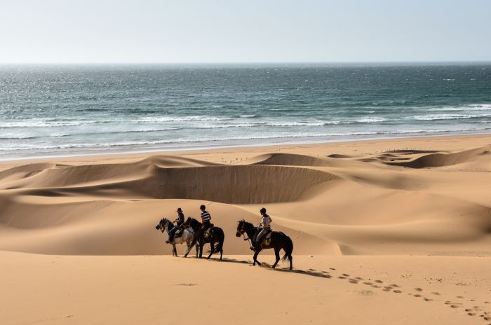 Essaouira Küsten Trail & Taghazoute Strand