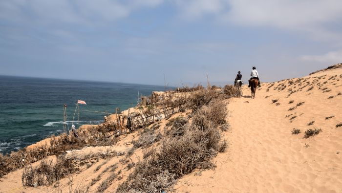 Essaouira Küsten Trail & Taghazoute Strand