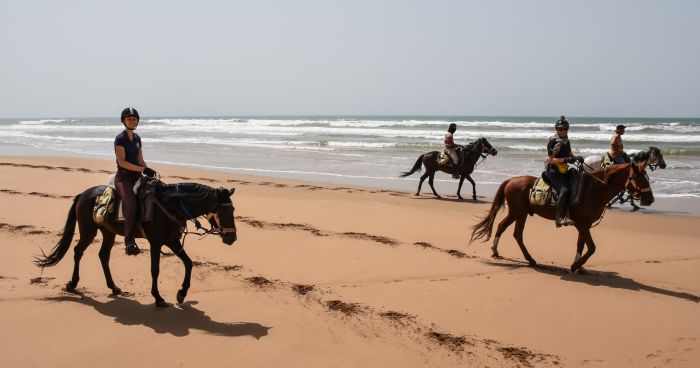 Essaouira Küsten Trail & Taghazoute Strand