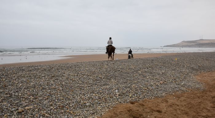 Essaouira Küsten Trail & Taghazoute Strand