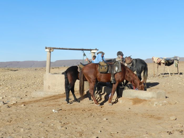 Sahara Wüsten Ritt