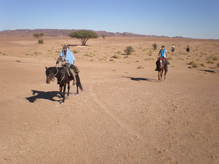 Sahara Wüsten Ritt