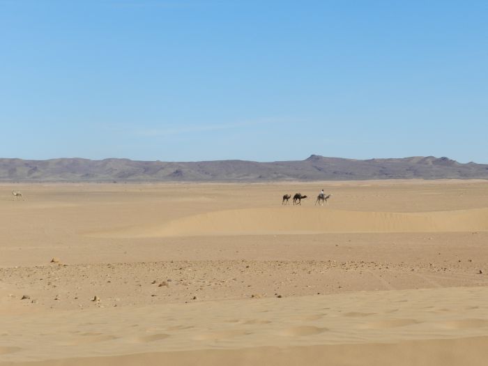 Sahara Wüsten Ritt