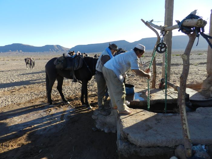 Sahara Wüsten Ritt