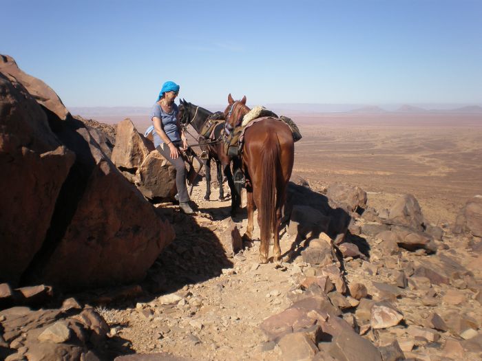 Sahara Wüsten Ritt