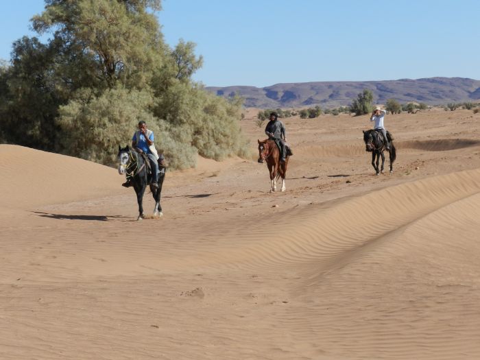 Sahara Wüsten Ritt