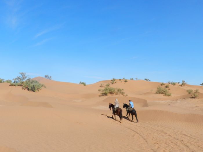 Sahara Wüsten Ritt