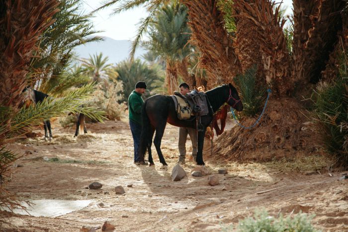 Sahara Wüsten Ritt