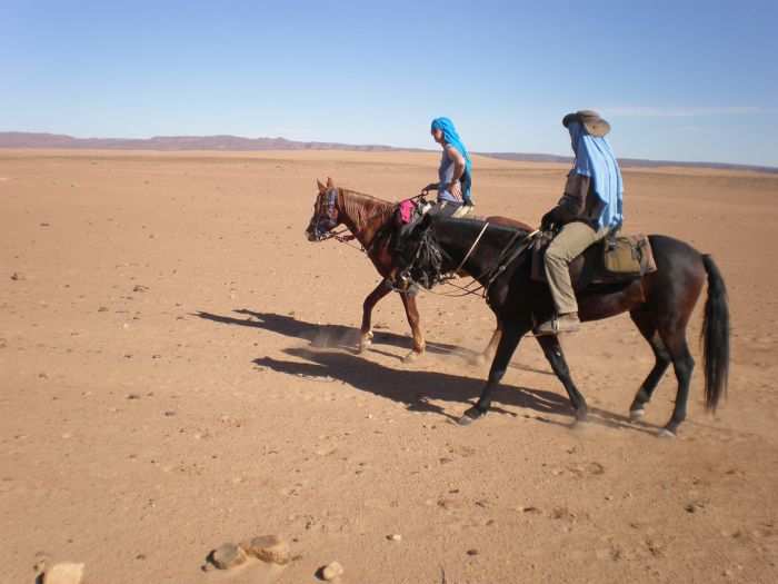 Sahara Wüsten Ritt