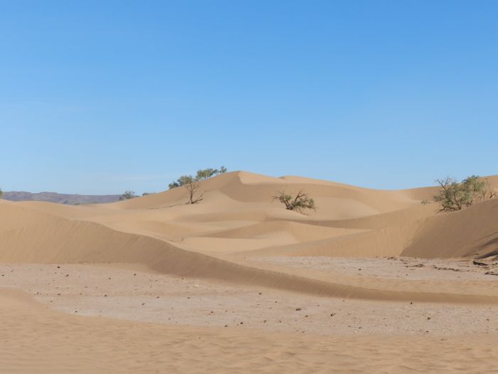 Sahara Wüsten Ritt