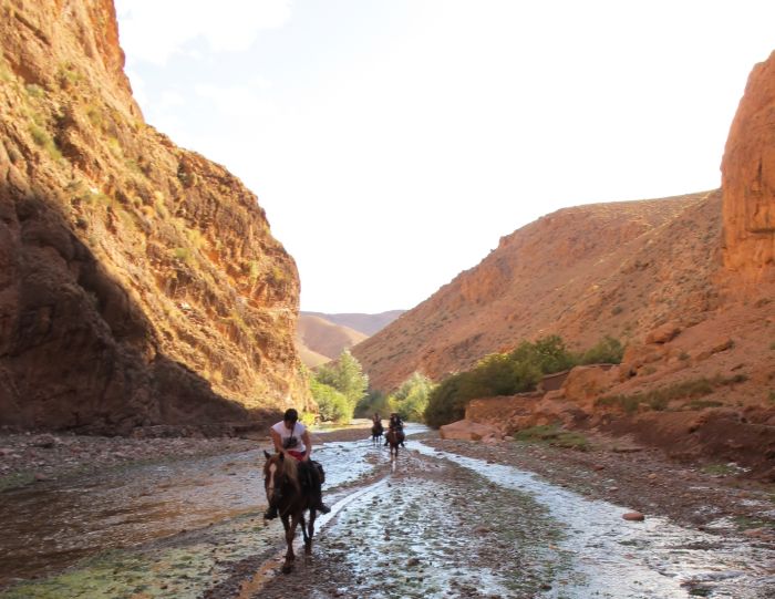 Tal der Rosen & Saghro Trail