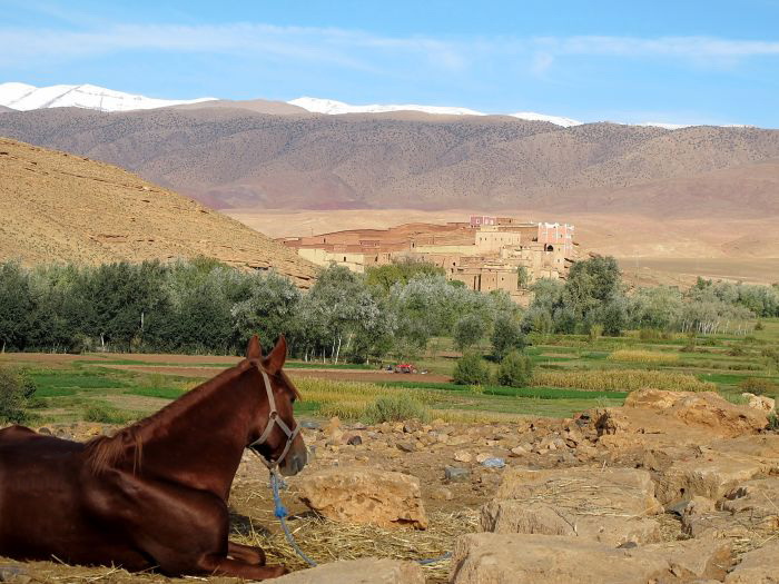 Tal der Rosen & Saghro Trail