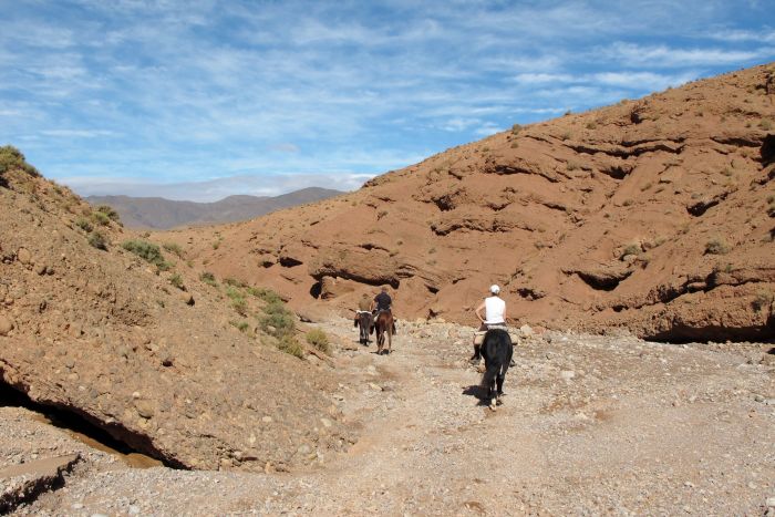 Tal der Rosen & Saghro Trail