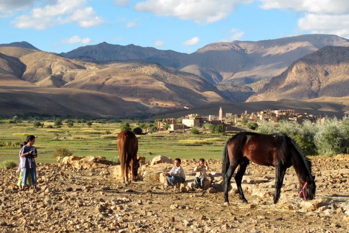 Tal der Rosen & Saghro Trail