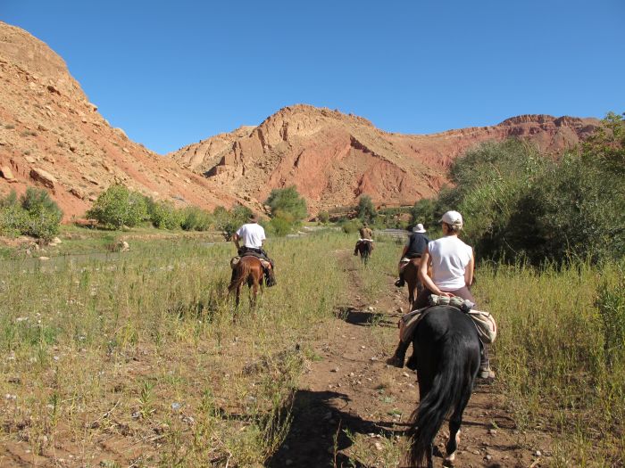 Tal der Rosen & Saghro Trail