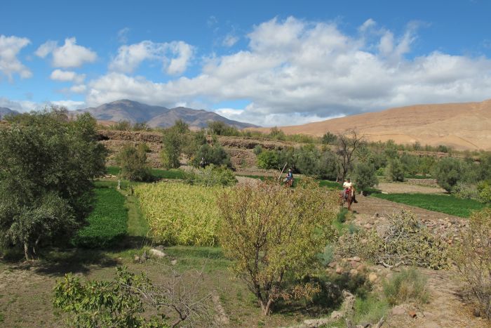 Tal der Rosen & Saghro Trail