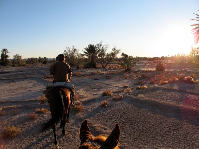 Tal der Rosen & Saghro Trail