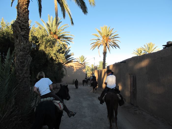 Tal der Rosen & Saghro Trail