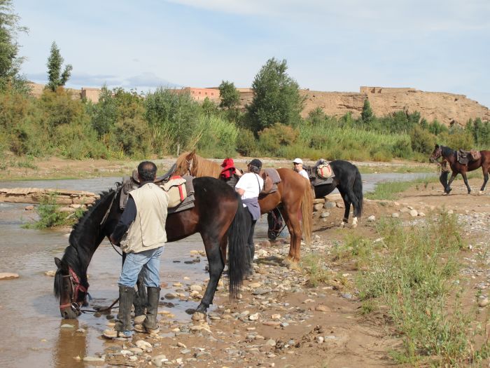 Tal der Rosen & Saghro Trail