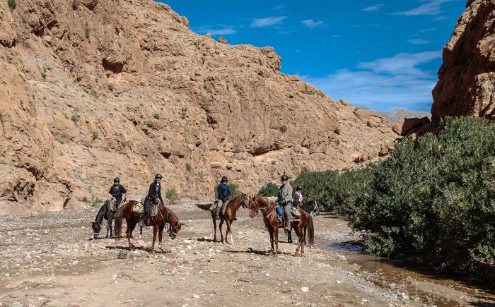 Tal der Rosen & Saghro Trail