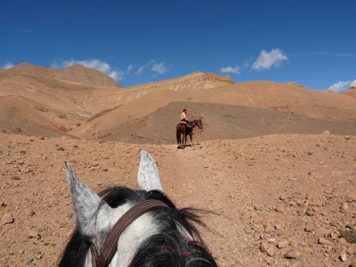 Tal der Rosen & Saghro Trail