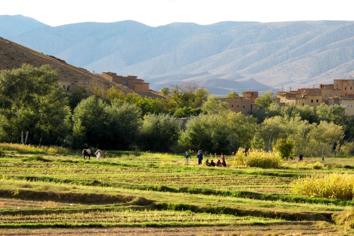 Tal der Rosen & Saghro Trail