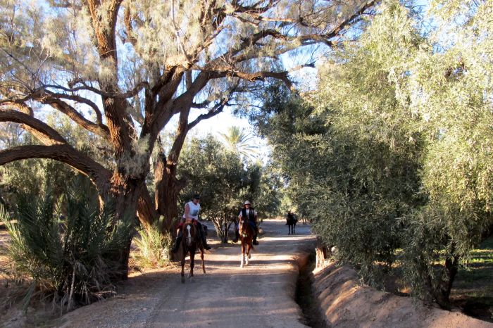 Tal der Rosen & Saghro Trail