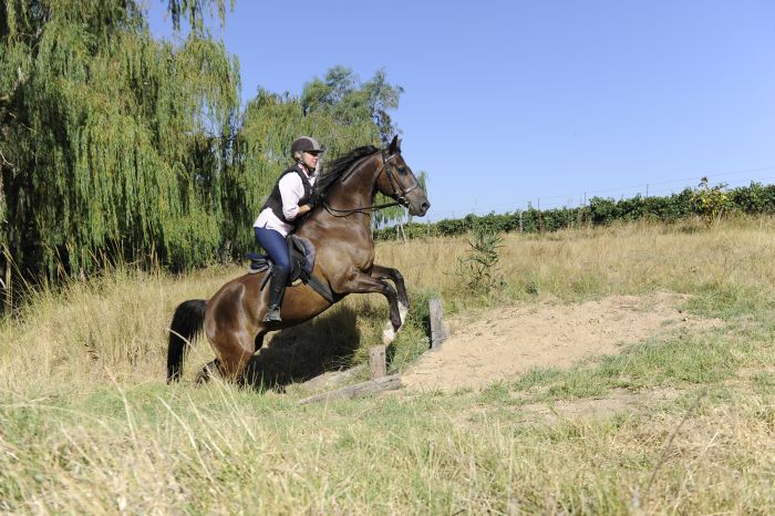 Weinland-Reiturlaub für Geniesser am Kap