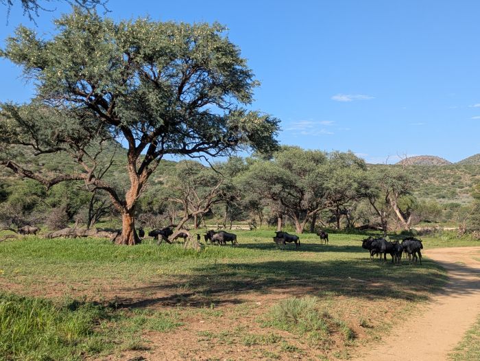 Erlebnislodge im Khomas Hochland