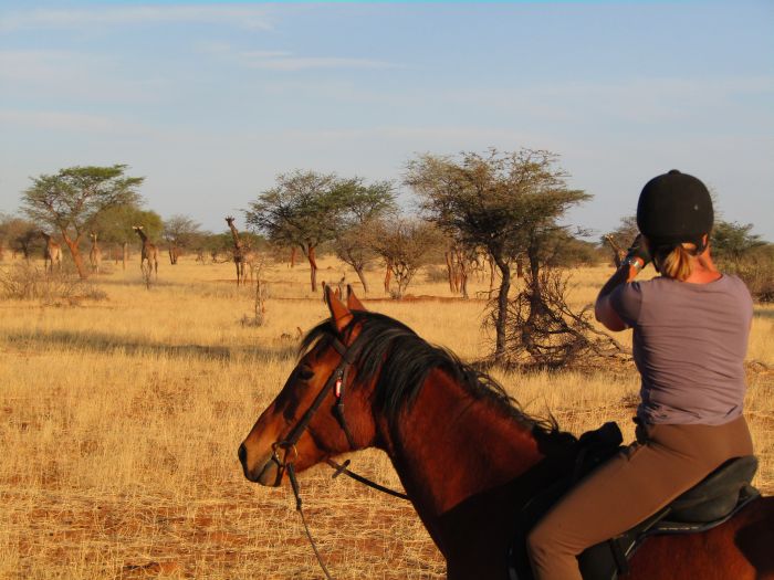 Wildnis Reitsafari am Rande der Kalahari