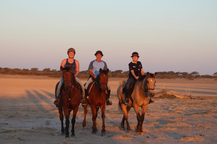 Wildnis Reitsafari am Rande der Kalahari