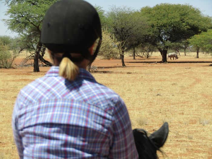 Wildnis Reitsafari am Rande der Kalahari