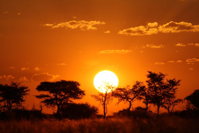 Wildnis Reitsafari am Rande der Kalahari