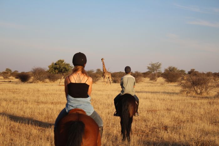 Wildnis Reitsafari am Rande der Kalahari